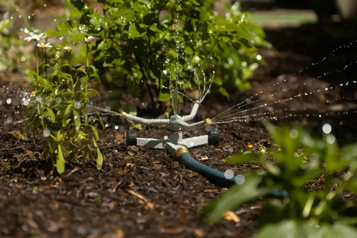Close-up of a drip irrigation line watering flowers in a drought-resistant garden bed